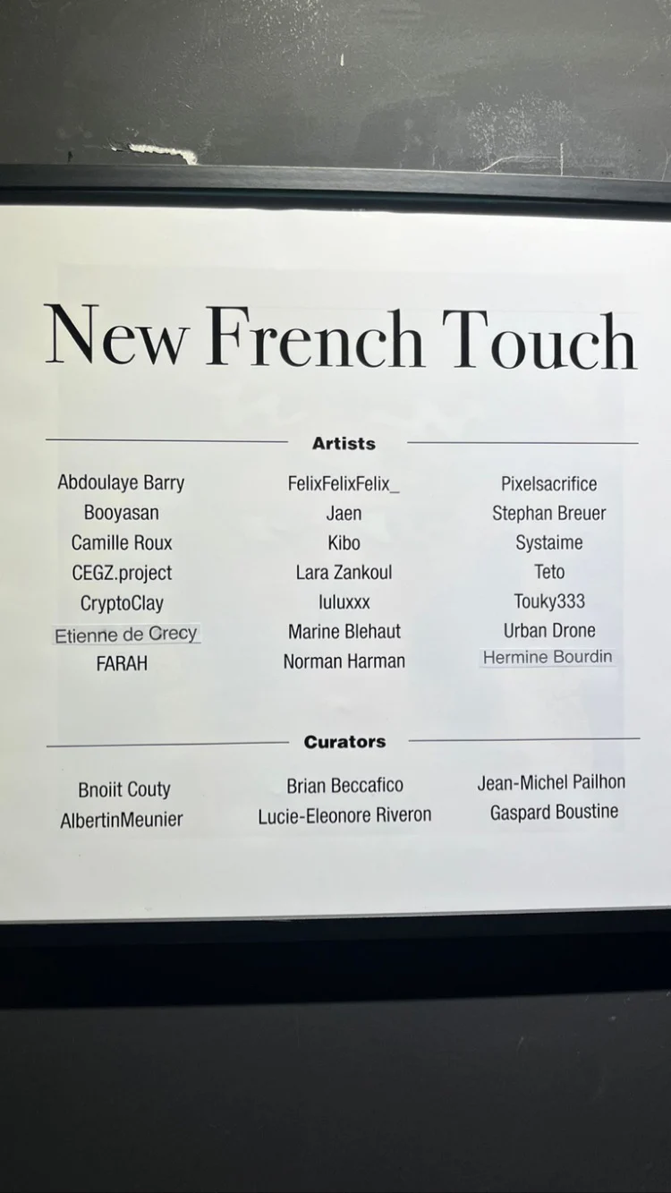 New French Touch, Galerie IHAM, 5